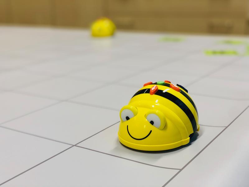 verschiedene Angebote rund um Coding