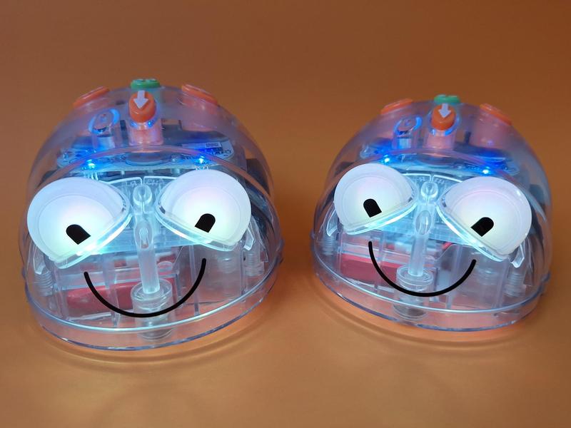 Programmierung und Coding mit den Blue Bots