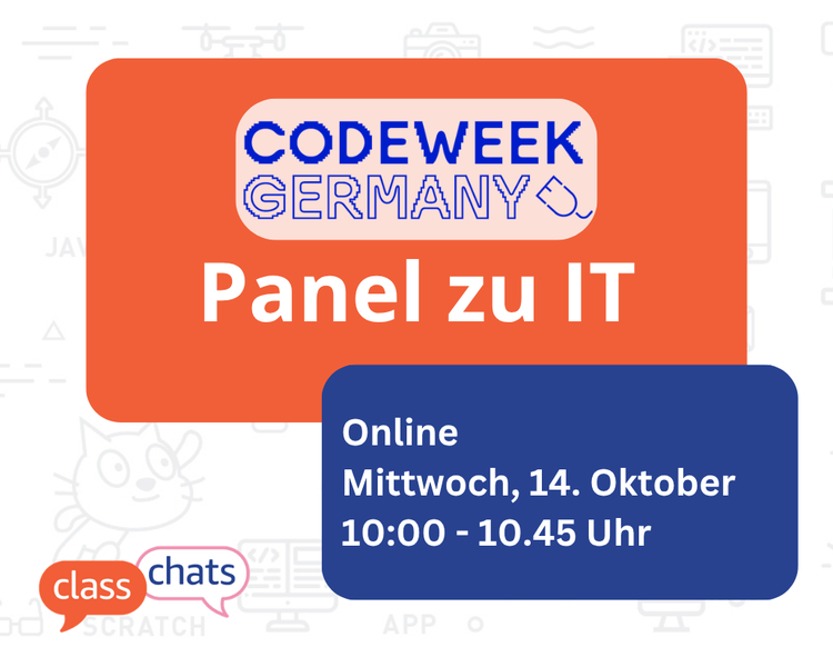 Online-Panel: Programmieren in der IT