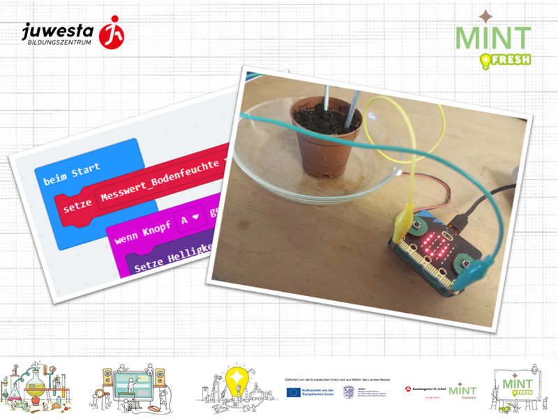 MISSION MINT – Experimentieren mit micro:bit