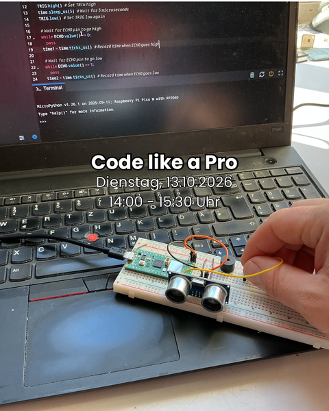 Code like a Pro: Programmiere den Raspberry Pi Pico W mit Python!