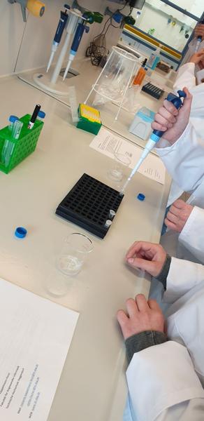 Intensiv-Workshops Digitale Biomedizin – RNA-Isolation und Genexpressionsanalyse