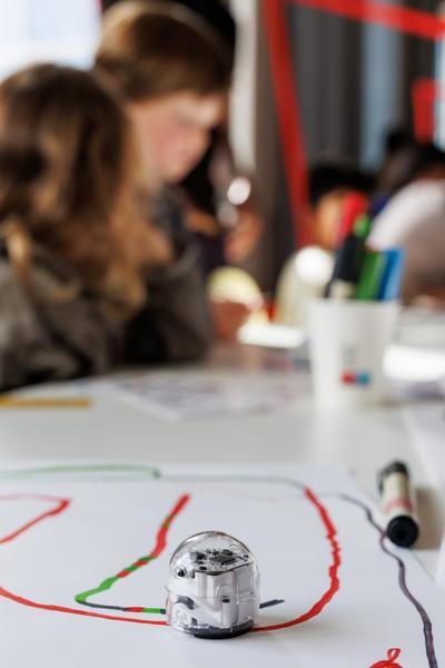 Ozobots im Humboldt Forum - Analoges Coding  mit Robotern