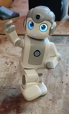 Stübots!