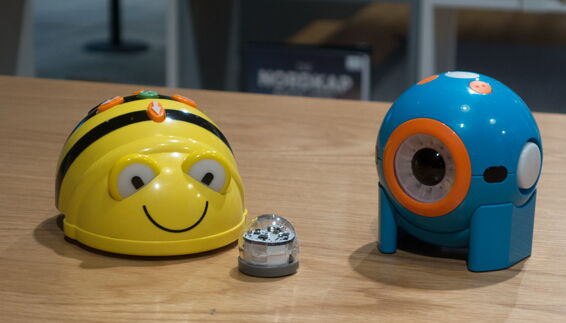 Bee-Bots programmieren